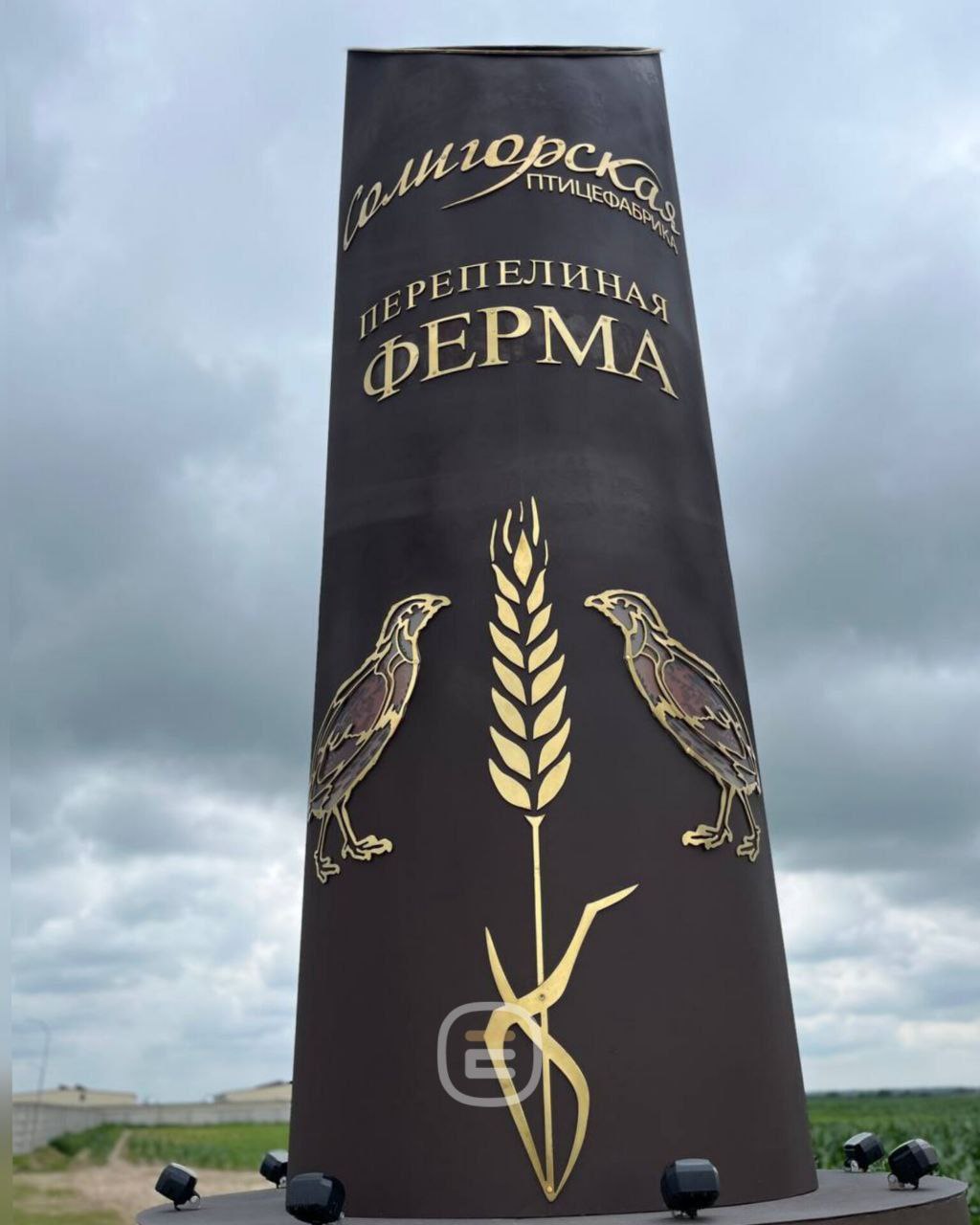 Завершение строительства перепелиной фермы